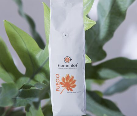 FUEGOCOMP_cropped (1)